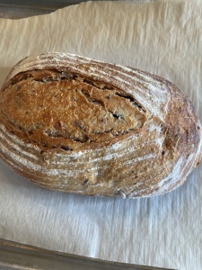 June instagram recap